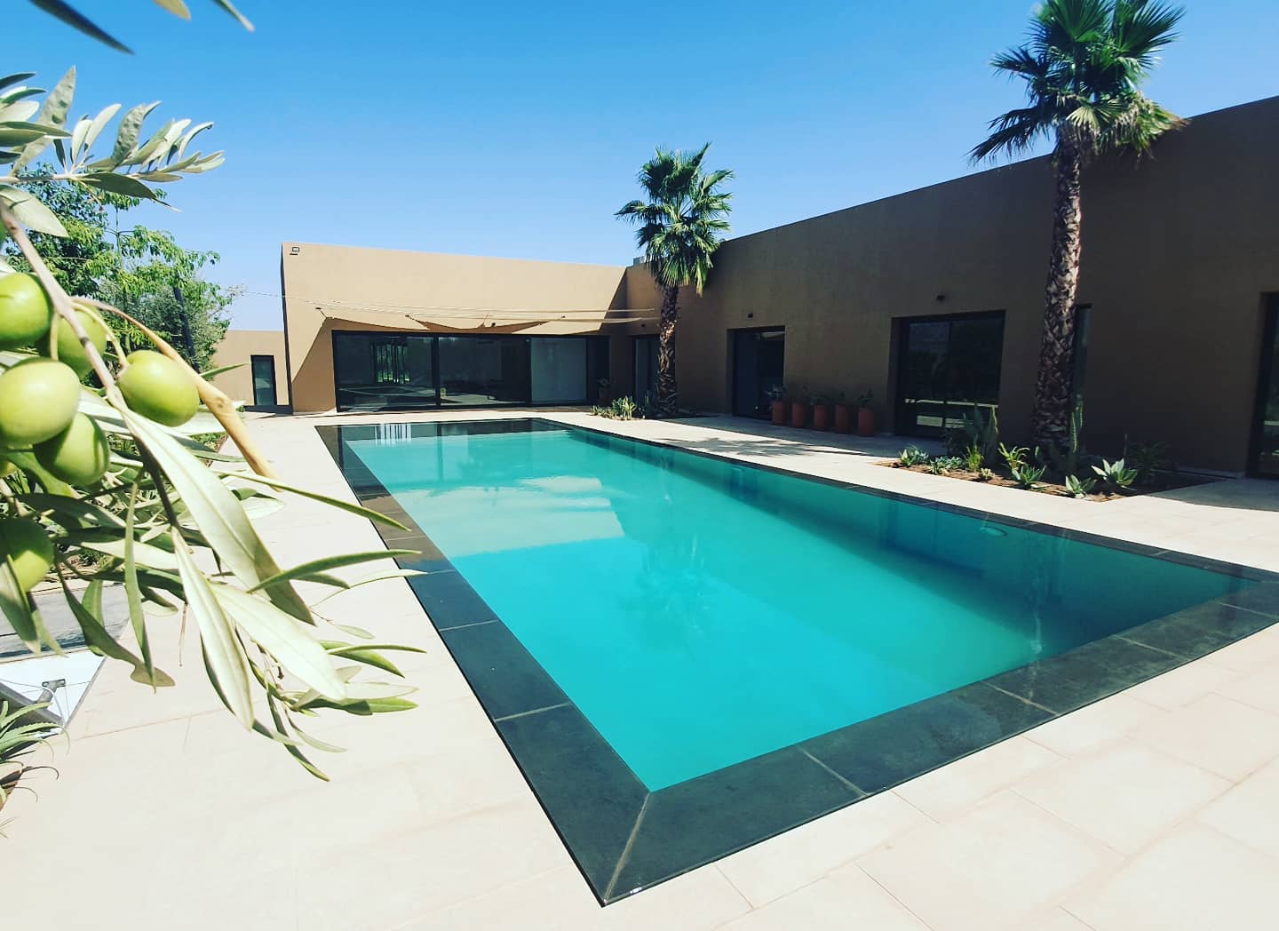 Villa de plain-pied ouverte sur une grande piscine bordée de palmiers